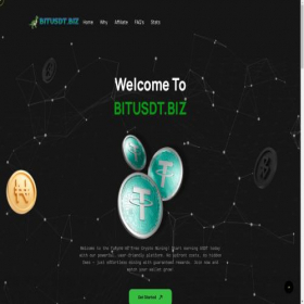 Скриншот главной страницы сайта bitusdt.biz