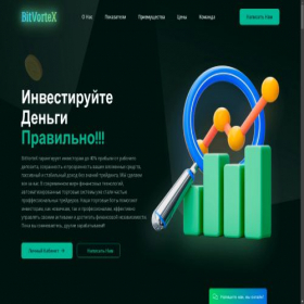 Скриншот главной страницы сайта bitvortex.ru