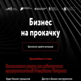 Скриншот главной страницы сайта bizaudit16.ru