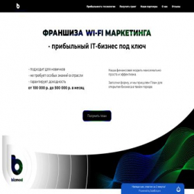 Скриншот главной страницы сайта bizmodule.ru