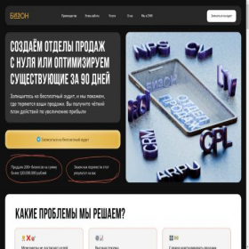 Скриншот главной страницы сайта bizon.im