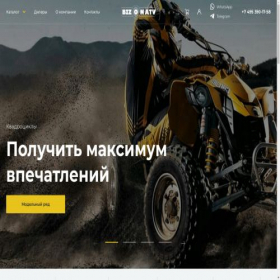 Скриншот главной страницы сайта bizonatv.ru