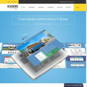 Скриншот главной страницы сайта bizseo.ru