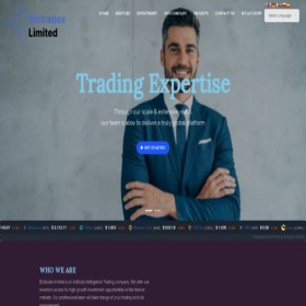 Скриншот главной страницы сайта biztradexlimited.com