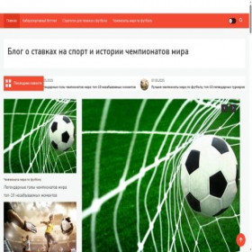 Скриншот главной страницы сайта black-buffalo.ru