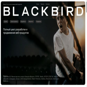 Скриншот главной страницы сайта blackbirdagency.ru