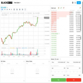 Скриншот главной страницы сайта blackbit.exchange