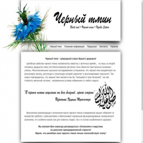 Скриншот главной страницы сайта blackseed.com.ua