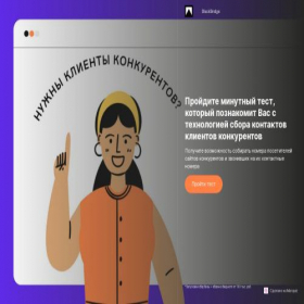 Скриншот главной страницы сайта blbridge.online
