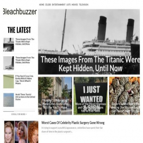 Скриншот главной страницы сайта bleachbuzzer.com