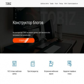 Скриншот главной страницы сайта blog.toptobiz.ru