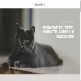 Скриншот главной страницы сайта blogotcat.ru