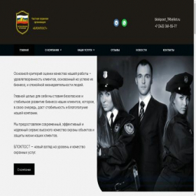 Скриншот главной страницы сайта blokpost196.ru