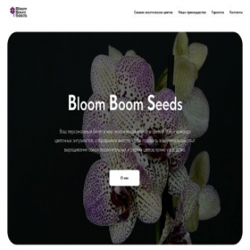 Скриншот главной страницы сайта bloomboomseeds.ru