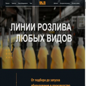 Скриншот главной страницы сайта blscom.ru
