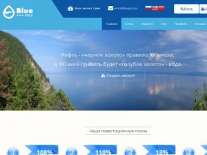 Скриншот главной страницы сайта bluegold.pro