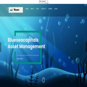 Скриншот главной страницы сайта blueseacapitals.com