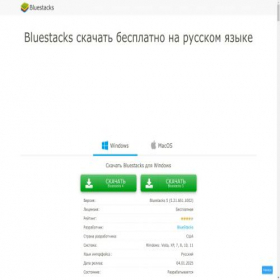 Скриншот главной страницы сайта bluestacks-app.ru