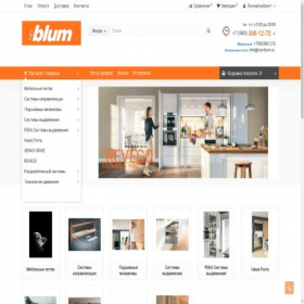 Скриншот главной страницы сайта blum-ru.com