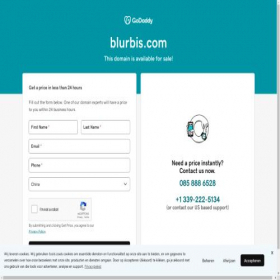 Скриншот главной страницы сайта blurbis.com