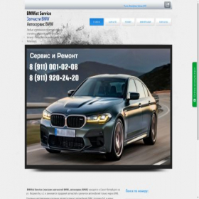 Скриншот главной страницы сайта bmwist-spb.ru