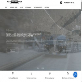 Скриншот главной страницы сайта bmworiginal.ru