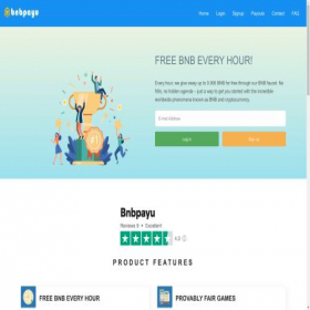 Скриншот главной страницы сайта bnbpayu.com