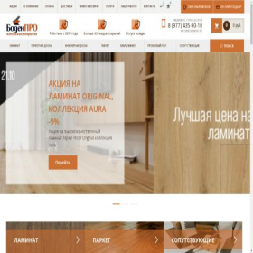 Скриншот главной страницы сайта bodenpro.ru