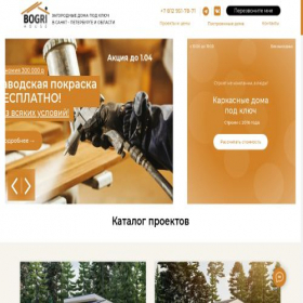 Скриншот главной страницы сайта bogri.ru