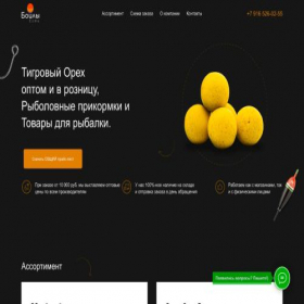 Скриншот главной страницы сайта boiliest.ru