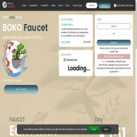 Скриншот главной страницы сайта bokofaucet.com