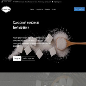 Скриншот главной страницы сайта bolsugarcs.turbo.site
