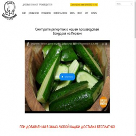 Скриншот главной страницы сайта bondariya.ru