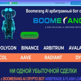 Скриншот главной страницы сайта boomerang.trading