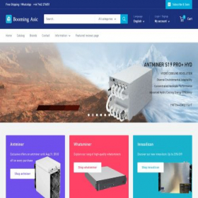Скриншот главной страницы сайта boomingasic.com