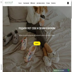 Скриншот главной страницы сайта booteco.ru