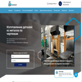 Скриншот главной страницы сайта bor-z.ru