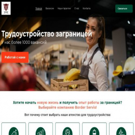 Скриншот главной страницы сайта borderservice.com.pl