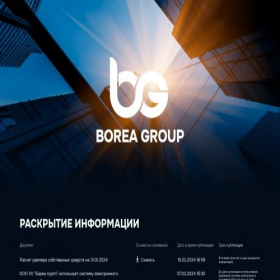 Скриншот главной страницы сайта boreagroup.ru