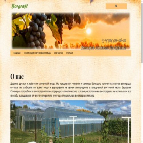 Скриншот главной страницы сайта borgraft.ru