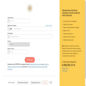 Скриншот главной страницы сайта borisovaei.payform.ru