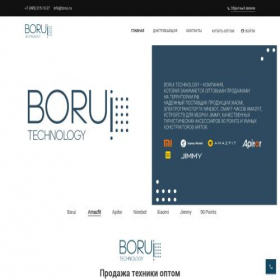 Скриншот главной страницы сайта borui.ru