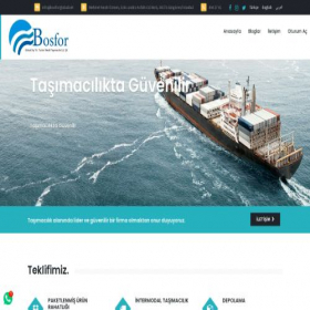Скриншот главной страницы сайта bosforglobal.net