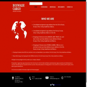 Скриншот главной страницы сайта boswash-cargo.com