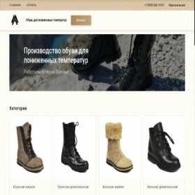 Скриншот главной страницы сайта botinnok.ru