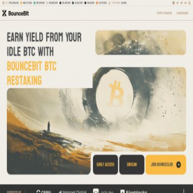 Скриншот главной страницы сайта bouncebit.io