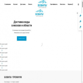 Скриншот главной страницы сайта bovil.ru