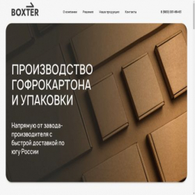 Скриншот главной страницы сайта boxter.group