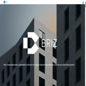 Скриншот главной страницы сайта br.spb.ru