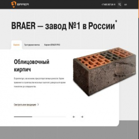 Скриншот главной страницы сайта braer.ru